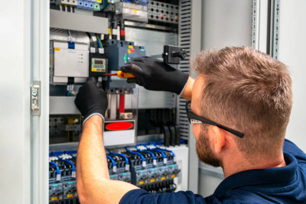 Best Industrial Electrical Services  in Laingsburg, MI