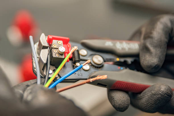 Best Electrical Upgrades for Homes  in Laingsburg, MI