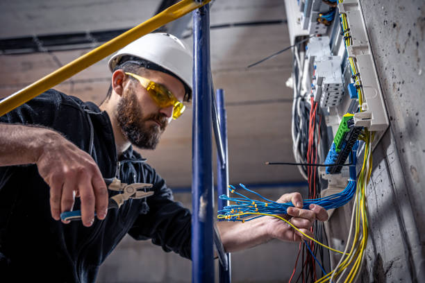 Best Local Electrician Companies  in Laingsburg, MI