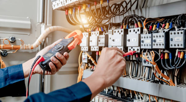 Best Licensed Electrician  in Laingsburg, MI