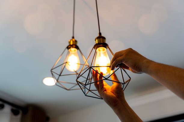Best Local Electrician Companies  in Laingsburg, MI