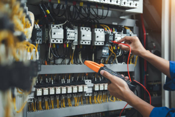 Best Licensed Electrician  in Laingsburg, MI