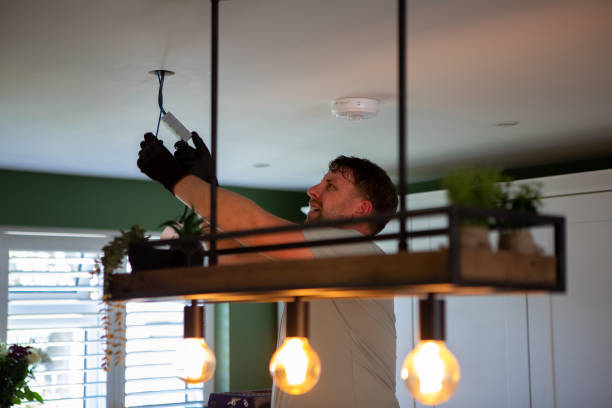 Best Electrical Wiring Services  in Laingsburg, MI