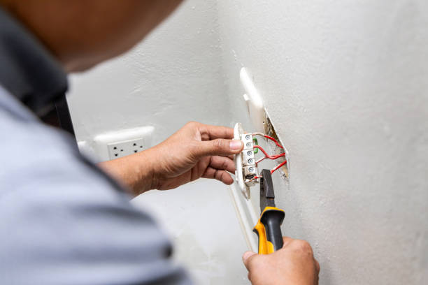 Best Electric Panel Repair  in Laingsburg, MI