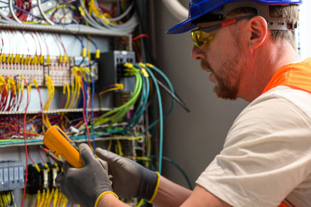 Best Electrical Troubleshooting Services  in Laingsburg, MI