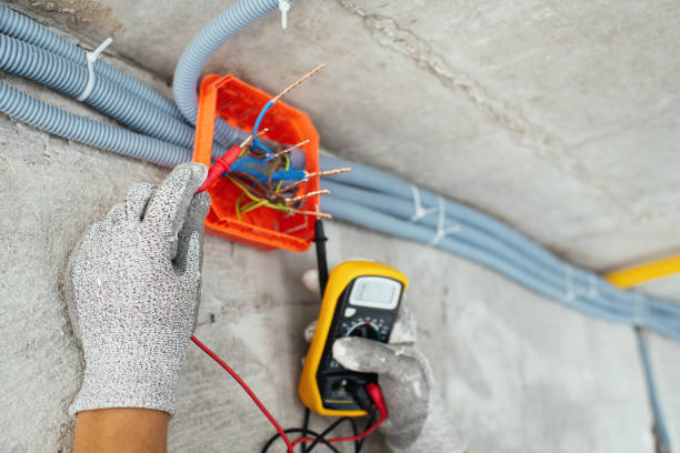 Best Electrical Repair Services  in Laingsburg, MI