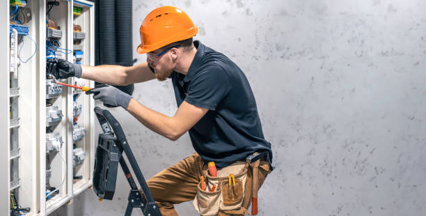 Best Generator Installation Services  in Laingsburg, MI