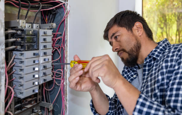 Best Commercial Electrician Services  in Laingsburg, MI